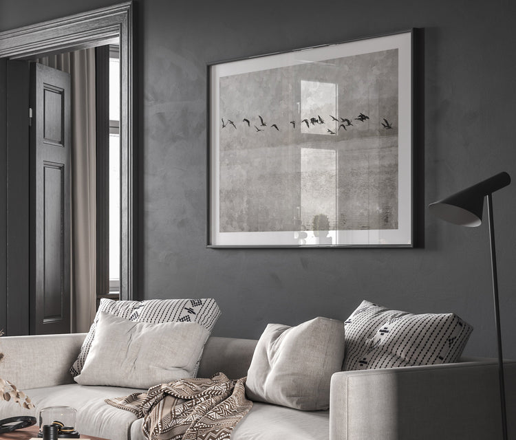 Monochrome Collection